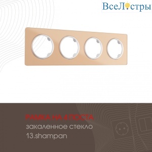 502.13-4.shampan