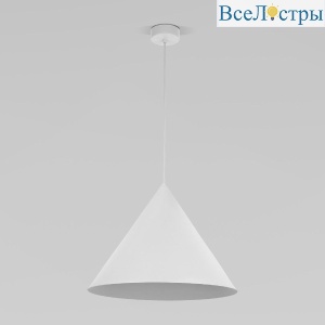 10010 Cono