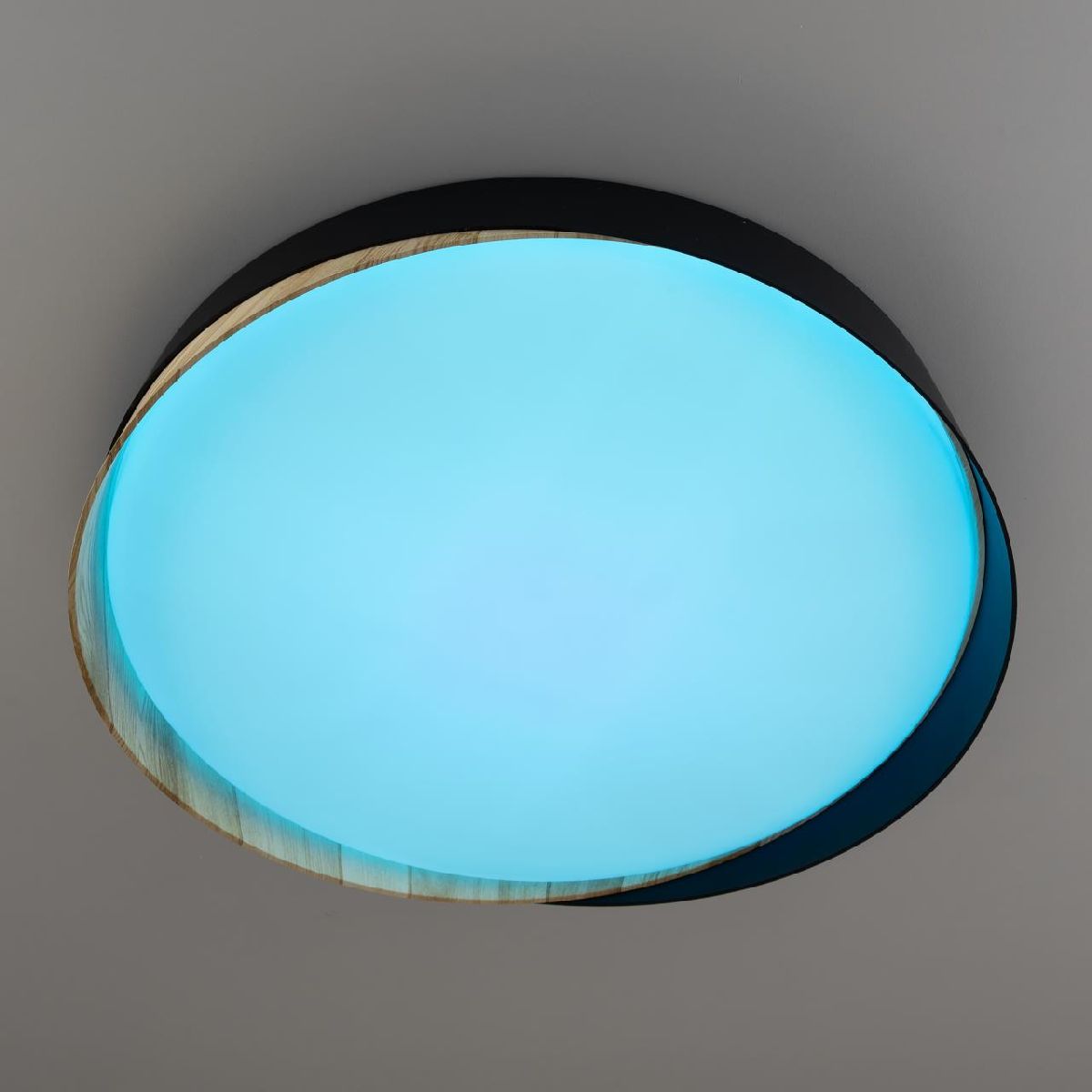 потолочный светильник citilux bonny cl754351g