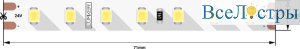 00-00000527