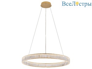 8242N/80 gold