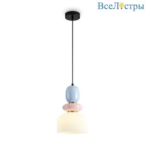 FR5595PL-01B2