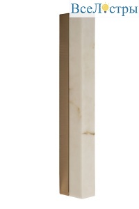 20MD91631