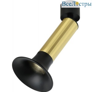 IL.0005.4601 BRONZE+BK