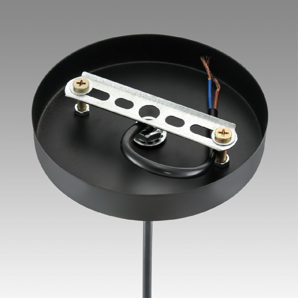 подвесной светильник lumion suspentioni leonela 8052/1a