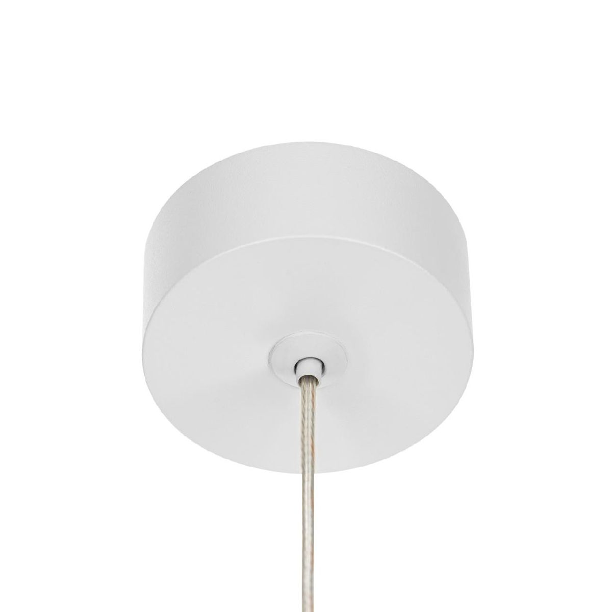 подвесной светильник citilux bruno cl565010