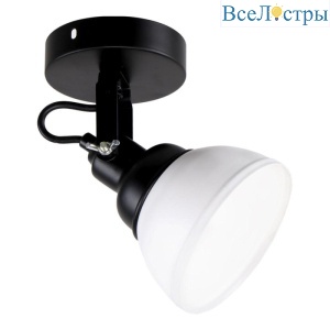 MD.51575-1-W BK