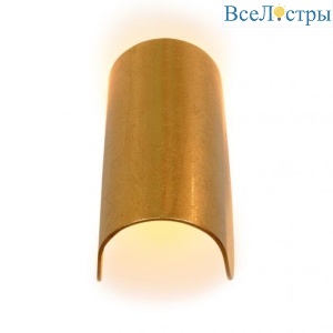 ZD8077-6W gold