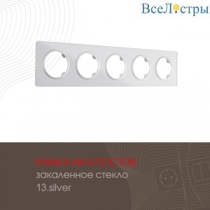 502.13-5.silver