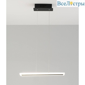 V2441-PL