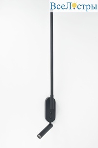 Б0066481