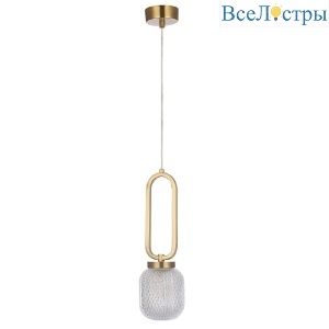 Carolina SP1 V2 BRASS