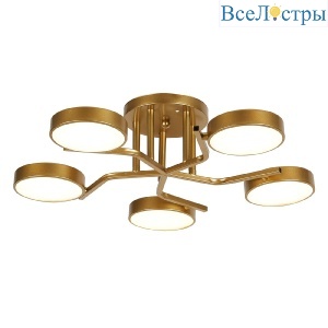 10273/5LED