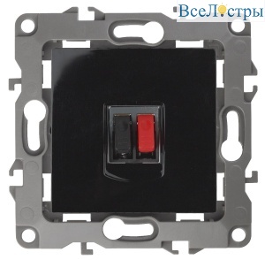 Б0027456