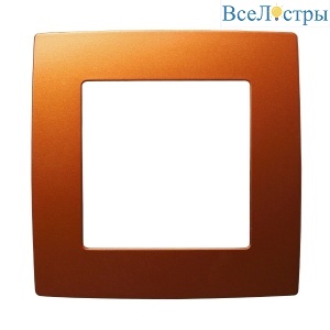 Б0019389