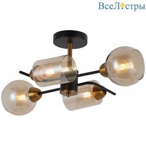 IL8243-4COU-79 BK BR