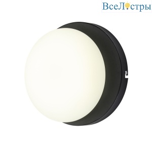 10273/1LED Black