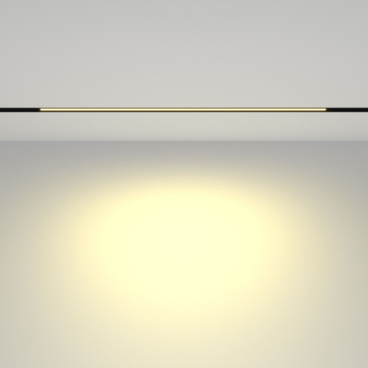 трековый магнитный светильник maytoni basis tr030-2-24w2.7k-b