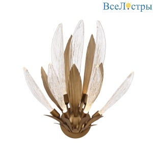 W168416-7 bronze/clear