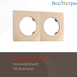 502.04-2.shampan