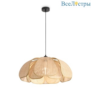 FR5529PL-01B
