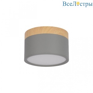 10162 Grey