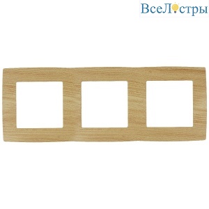 Б0019148