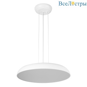 10371P White
