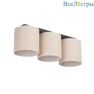 V2881-1/3PL