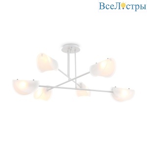FR5228PL-06W