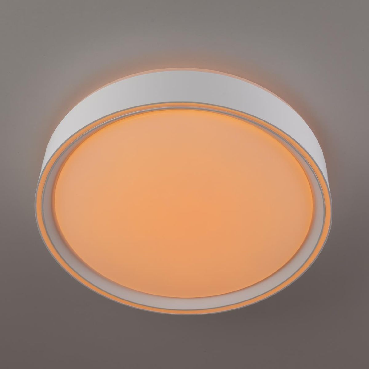потолочный светильник citilux boss cl751250g