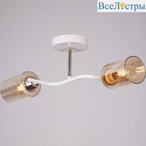IL8148-2COU-79 WH GD Bice