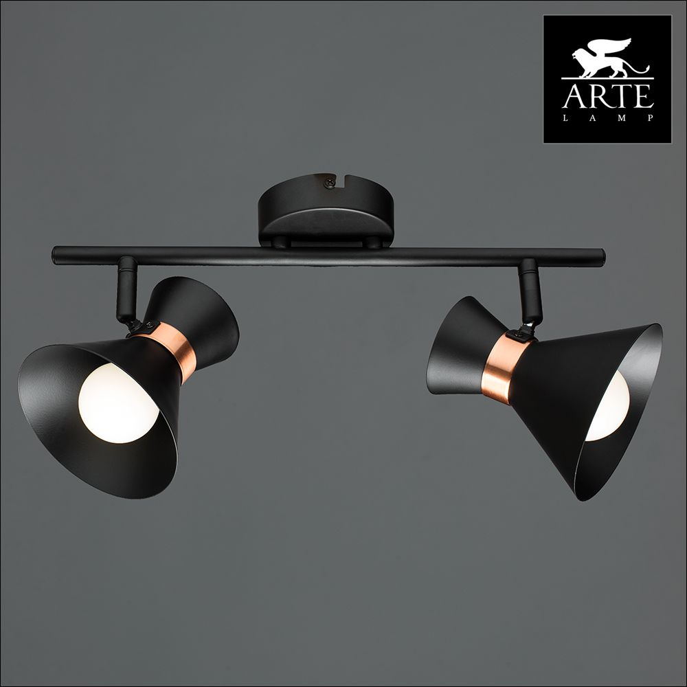 спот arte lamp baltimore a1406ap-2bk