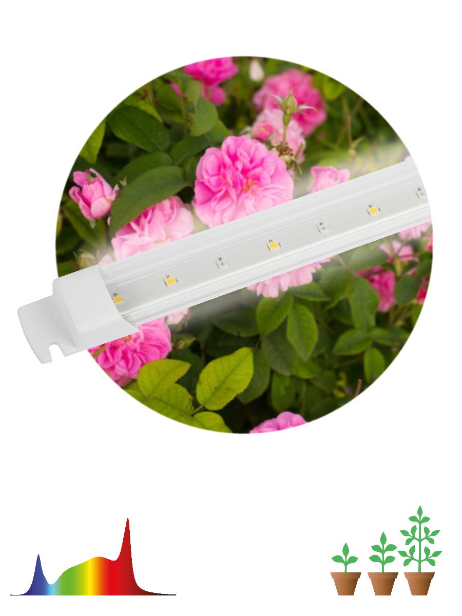 линейный светильник эра fito-10w-т5-ra90-slim б0057400
