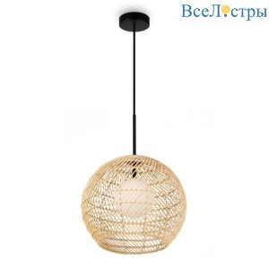MOD204PL-01BG1