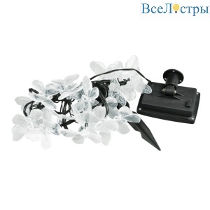 USL-S-129/PT4000 Butterflies