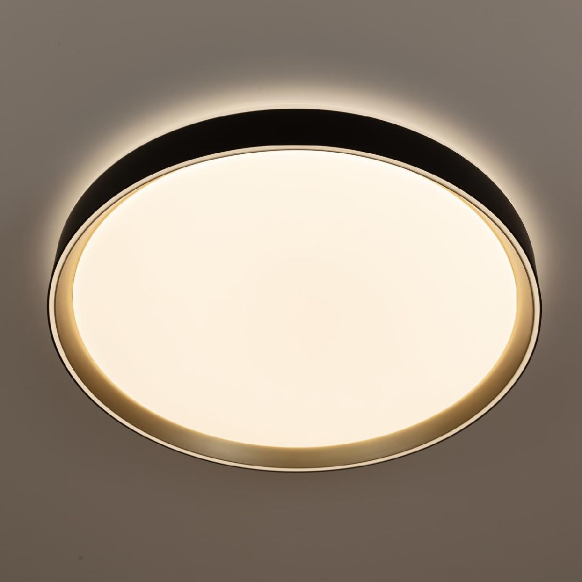 потолочный светильник citilux boss cl751451g