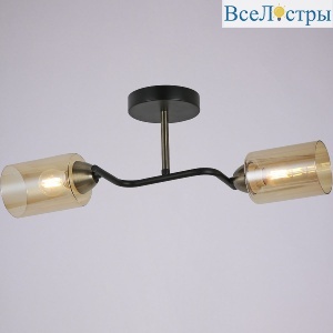 IL8148-2COU-79 BK BR Bice