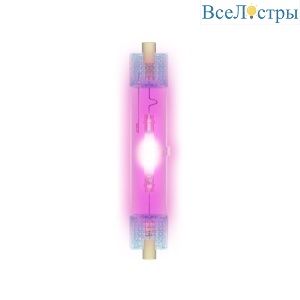 MH-DE-70/PURPLE/R7s картон