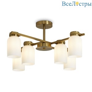 FR5446PL-06BS