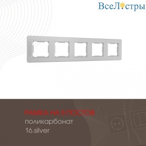 502.16-5.silver