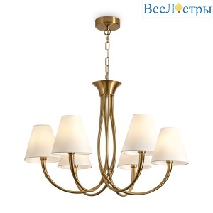 FR2063PL-06BS