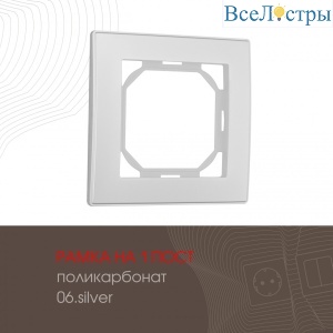 503.06-1.silver
