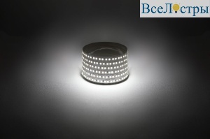 Б0059904