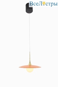 MZ31467-250-orange