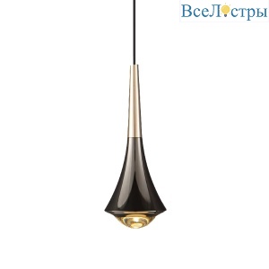 8969P/1 gold/black