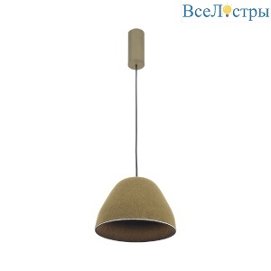 V11097-PL