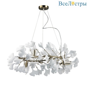 10881P/R800 gold/white