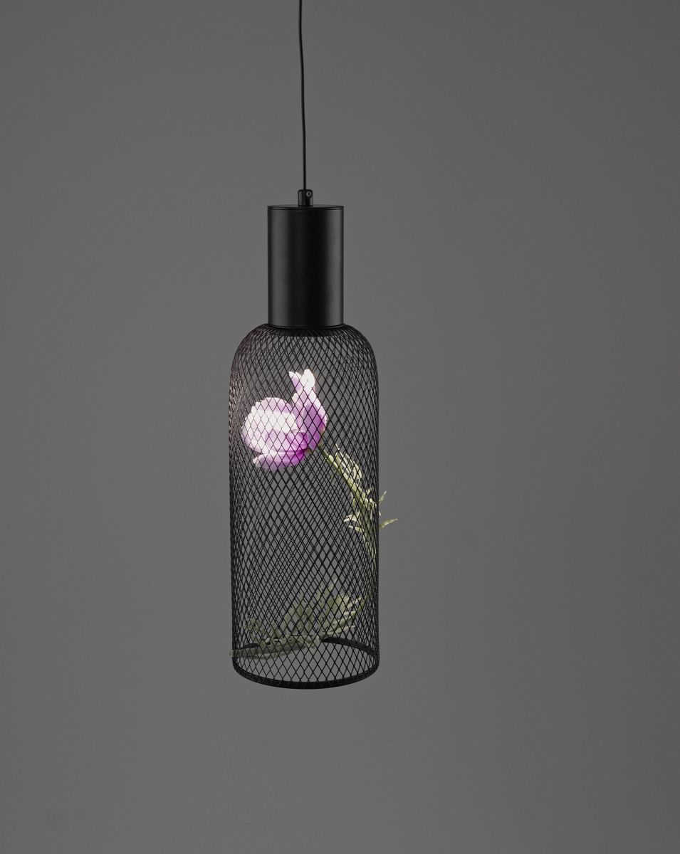 подвесной светильник moderli ophelia v11873-pl