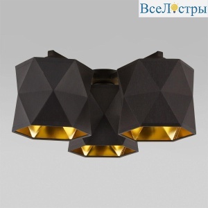 1042 Siro Black Gold